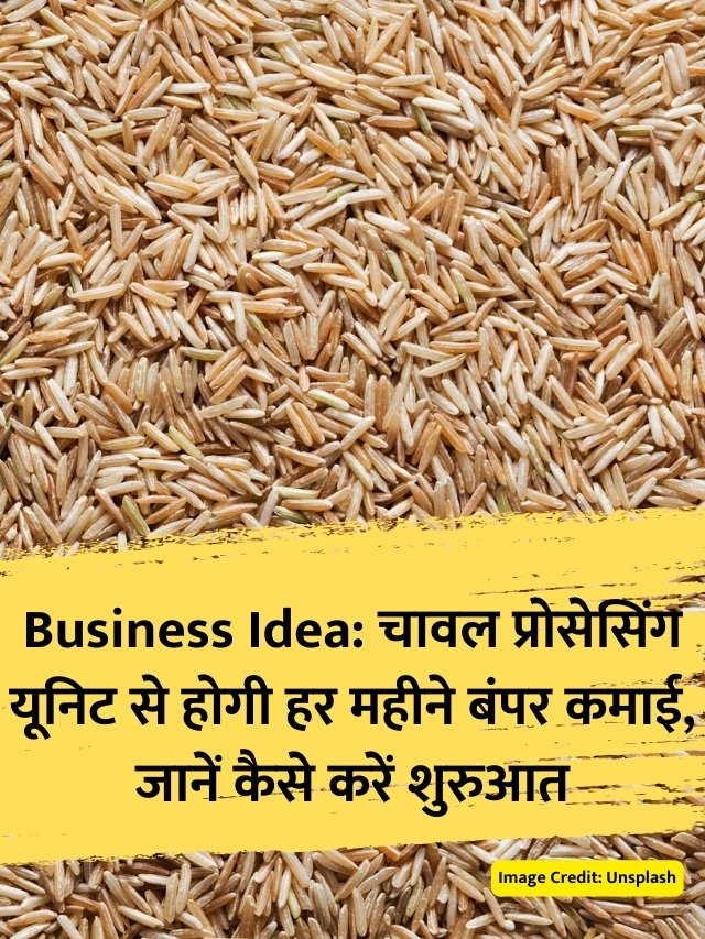 Business Idea: चावल प्रोसेसिंग यूनिट से होगी हर महीने बंपर कमाई, जानें कैसे करें शुरुआत